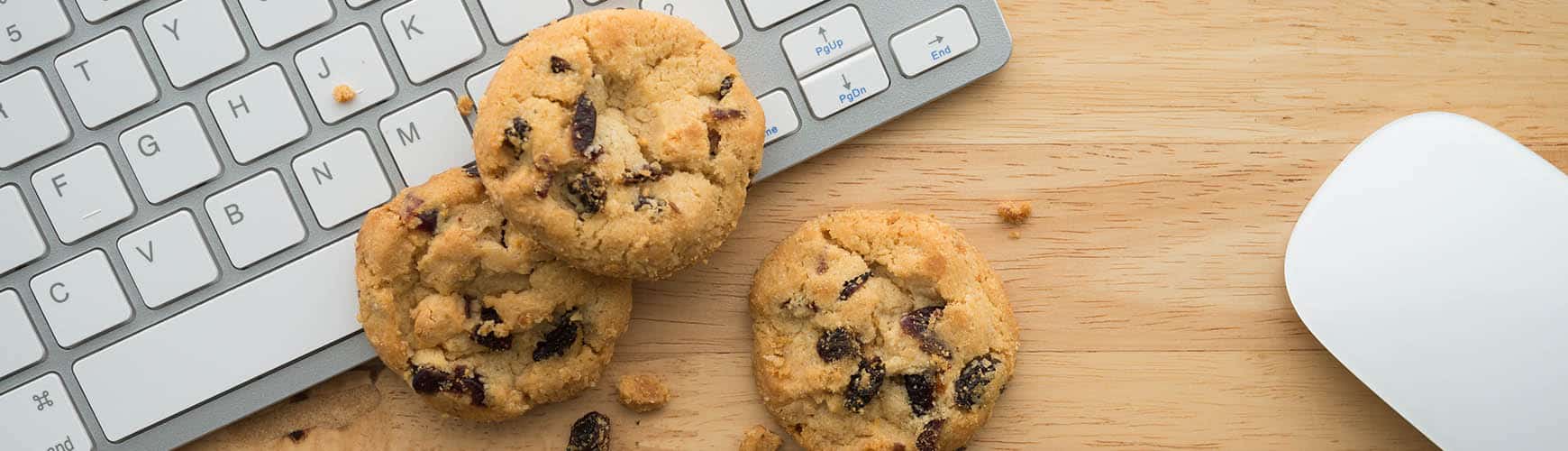 AGX Nordic ApS' politik for anvendelsen af cookies ved besøg på AGX.dk