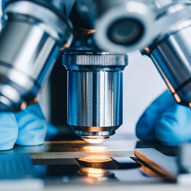 Be- eller afkræftelse af skimmel-vækst på/i materiale, med arts/slægtsbestemmelse, via mikroskopi. Du får samtidig svar på, om der er spor af andre typer svamp