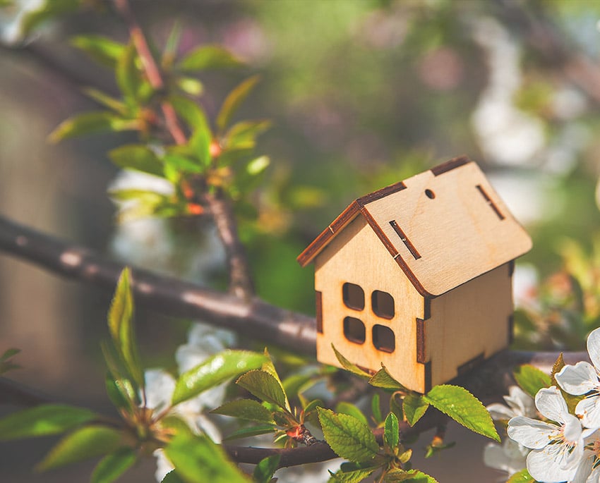 Vi tilbyder rådgivning, laboratorie- og gør-det-selv test, analyser indenfor indeklima, sanering og ventilation