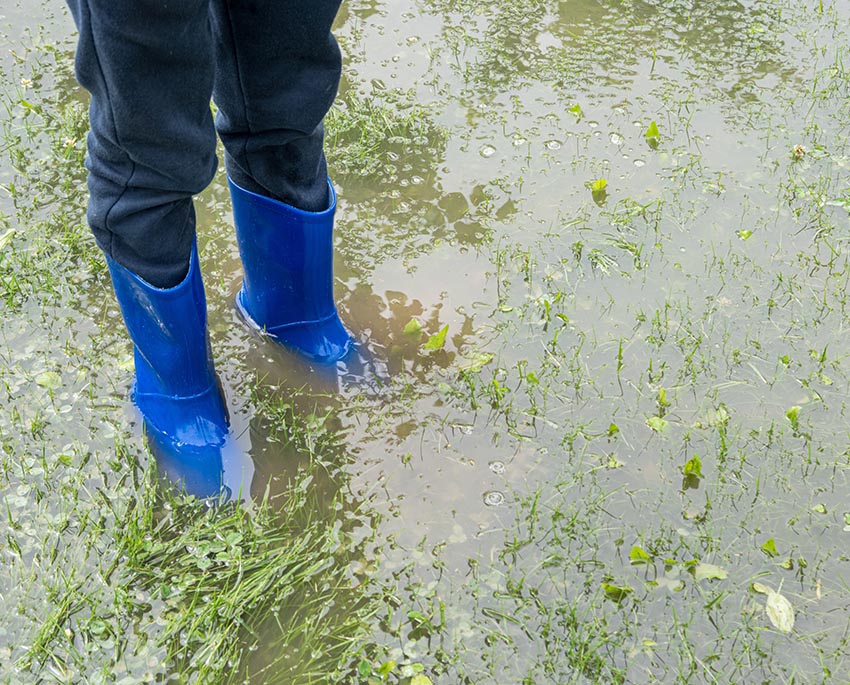 Oversvømmelser i haven kan forårsage erosion, drukne planter og endda true fundamentet af dit hjem