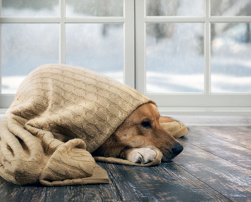 Naturlig radonventilation kan give problemer med træk og kulde