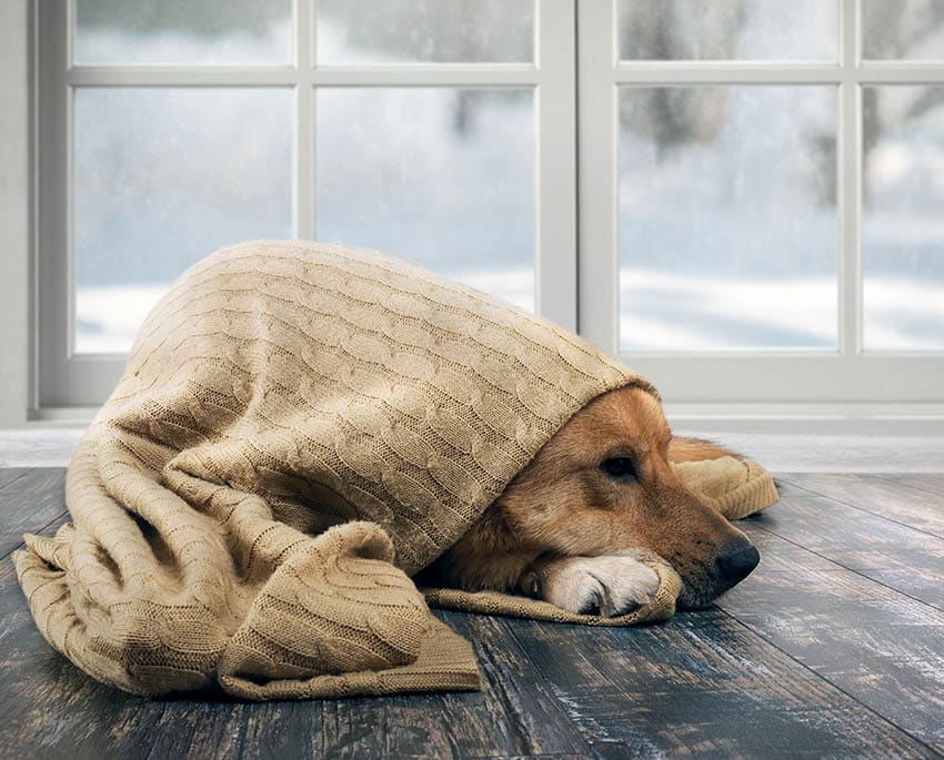 Det er ikke altid lige nemt at udbedre en kuldebro. Det afhænger således både af hvor kuldebroen er og hvordan den er opstået
