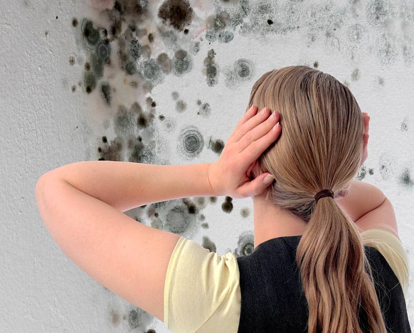 Hvis du bemærker grønne, sorte, brune eller hvide pletter eller mærker på vægge eller lofter et sted i dit hjem, bør du straks undersøge det, da det kan være skimmelsvamp