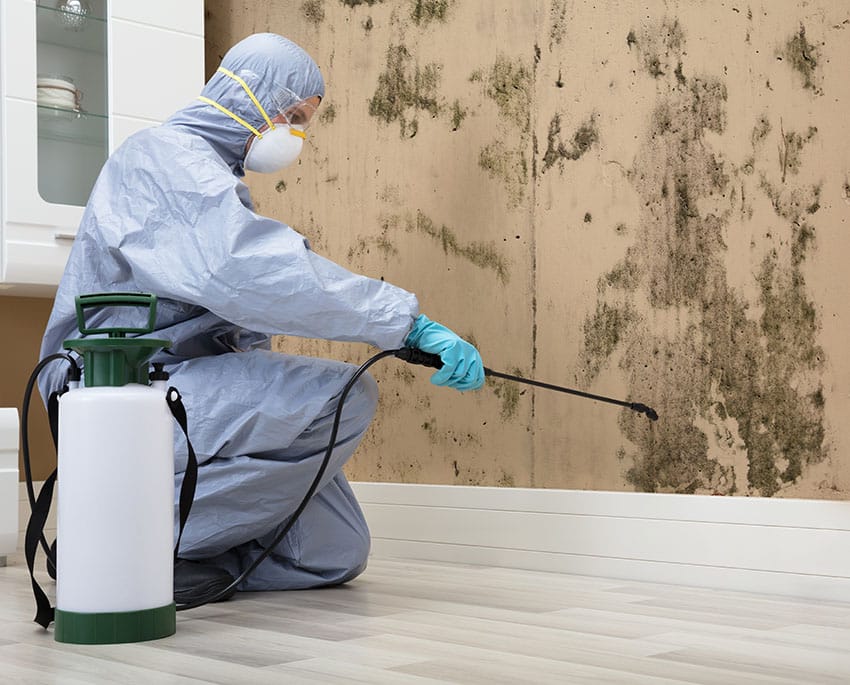 Skimmelsvamp kan fjernes på mange forskellige måder