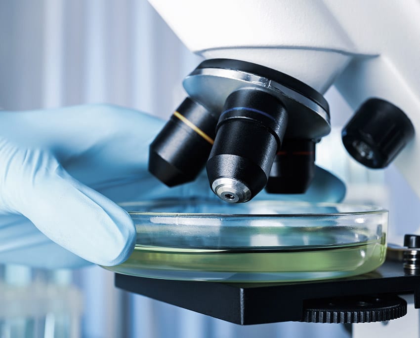 Vi har eget laboratorium til at analysere lufttest og Mycometer-test for skimmelsvamp