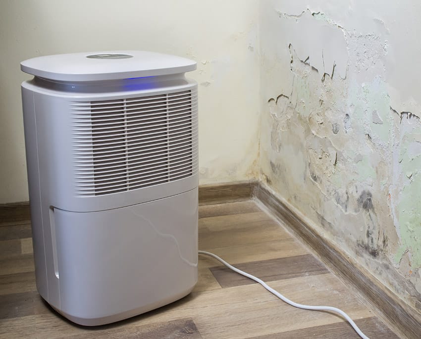 Brug evt. en affugter for at holde luftfugtigheden lav