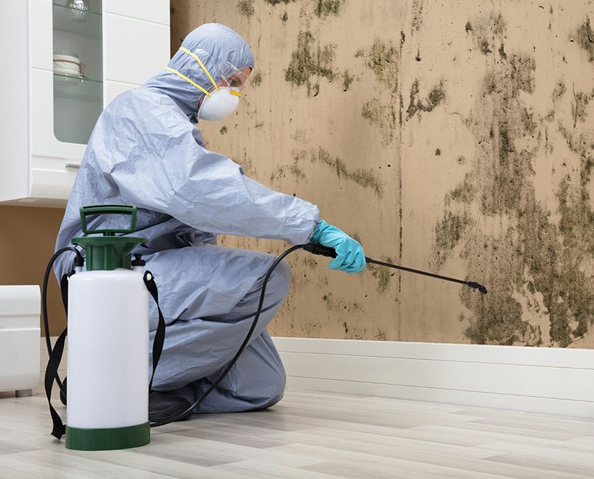 Hos AGX Nordic tilbydes professionel skimmelsanering, hvor problemets omfang vurderes, og skimmelsvampen fjernes korrekt for at sikre et sundere indeklima