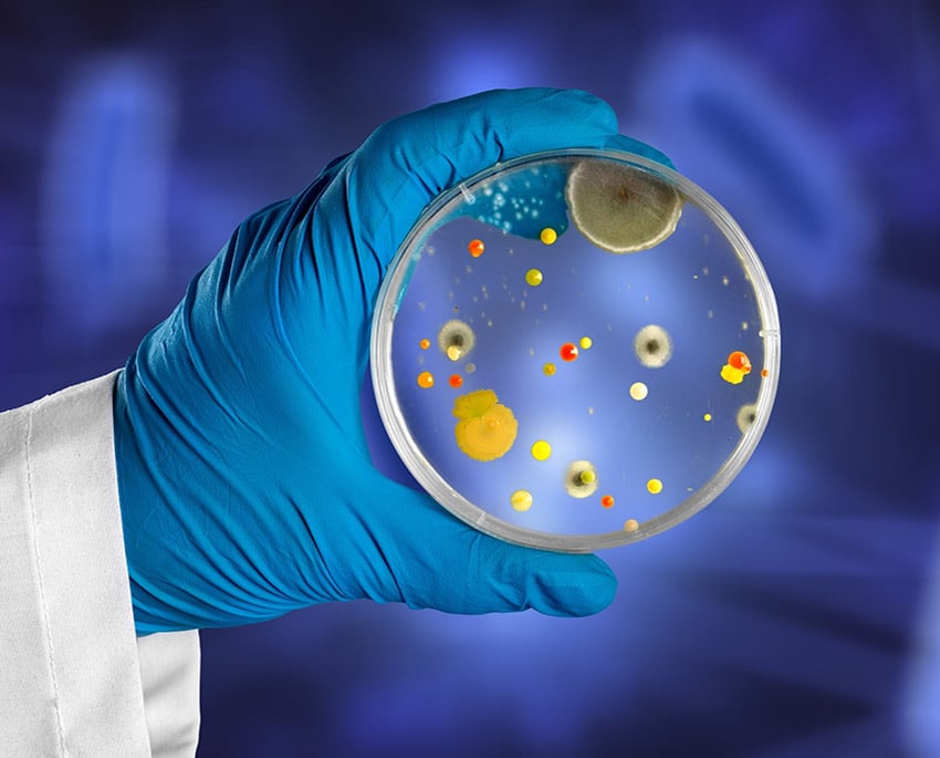 Du kan bekræfte mistanken om skimmelsvamp med en skimmelsvamp test, som hurtigt afslører, om der er sporer i luften eller på overflader