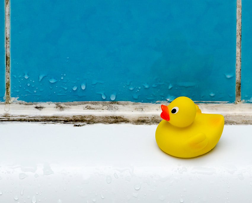 Skimmelsvamp trives i fugtige omgivelser, især omkring bruseniche og badekar