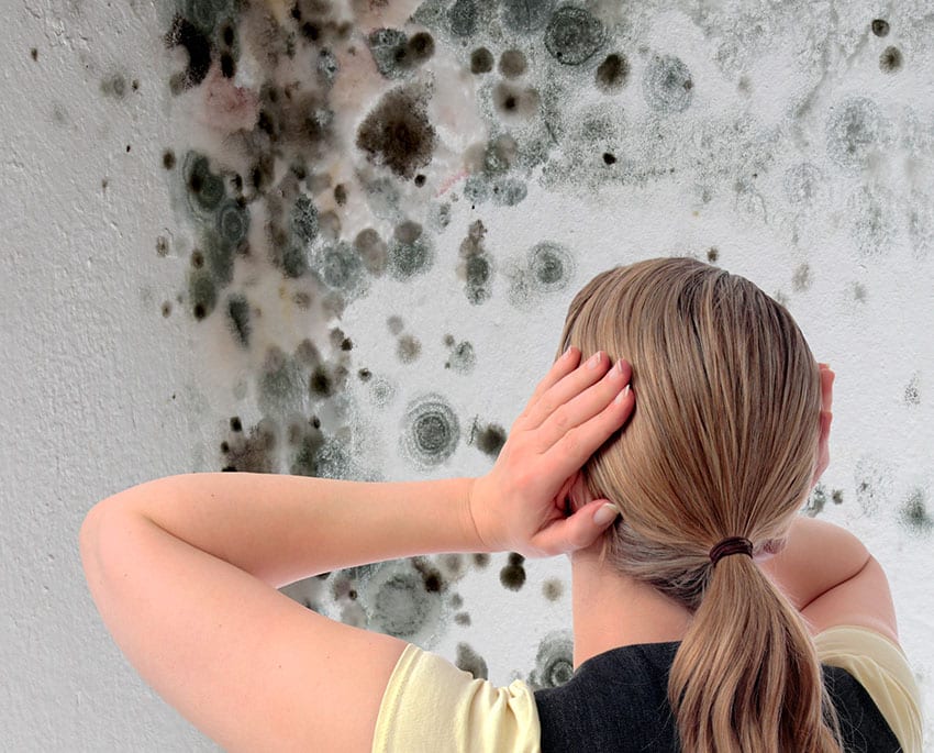 Sort skimmelsvamp viser sig typisk som runde, mørke belægninger på vægge, lofter og fuger