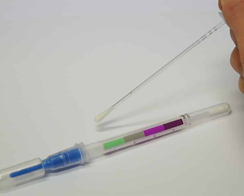 Nogle test måler skimmelsvamp via en vatpind, der føres hen over det mistænkte område